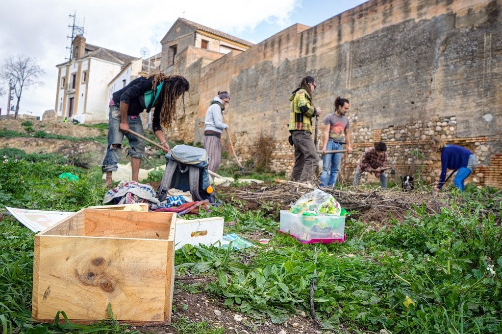Building A Community Garden