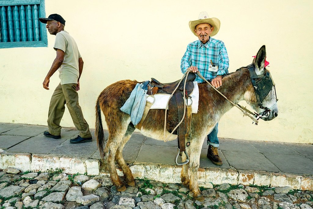Trinidad Donkey Man